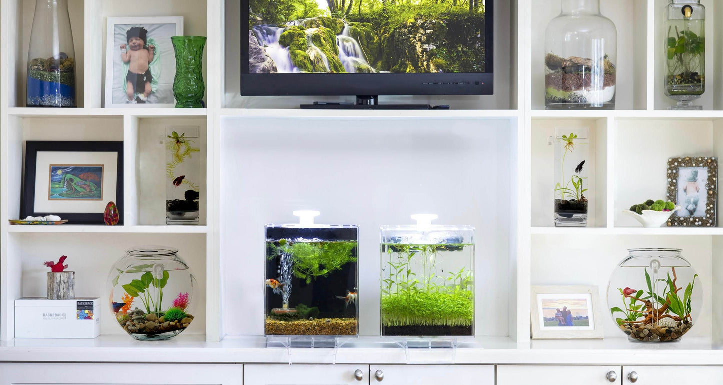 Low-Maintenance, Self-Cleaning Aquarium Kit | Lid | Waterfall Stand | 5 Gallon Cube Hassle-Free Fish Tank - NoClean Aquariums