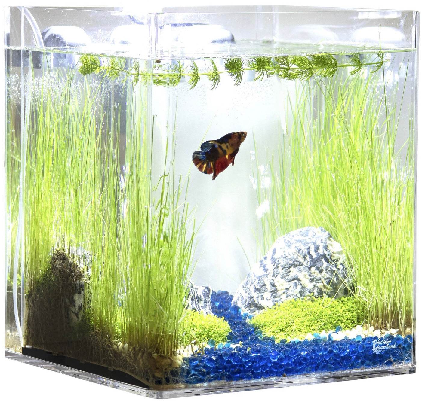 Low-Maintenance, Self-Cleaning Aquarium Kit | Lid | Waterfall Stand | 5 Gallon Cube Hassle-Free Fish Tank - NoClean Aquariums