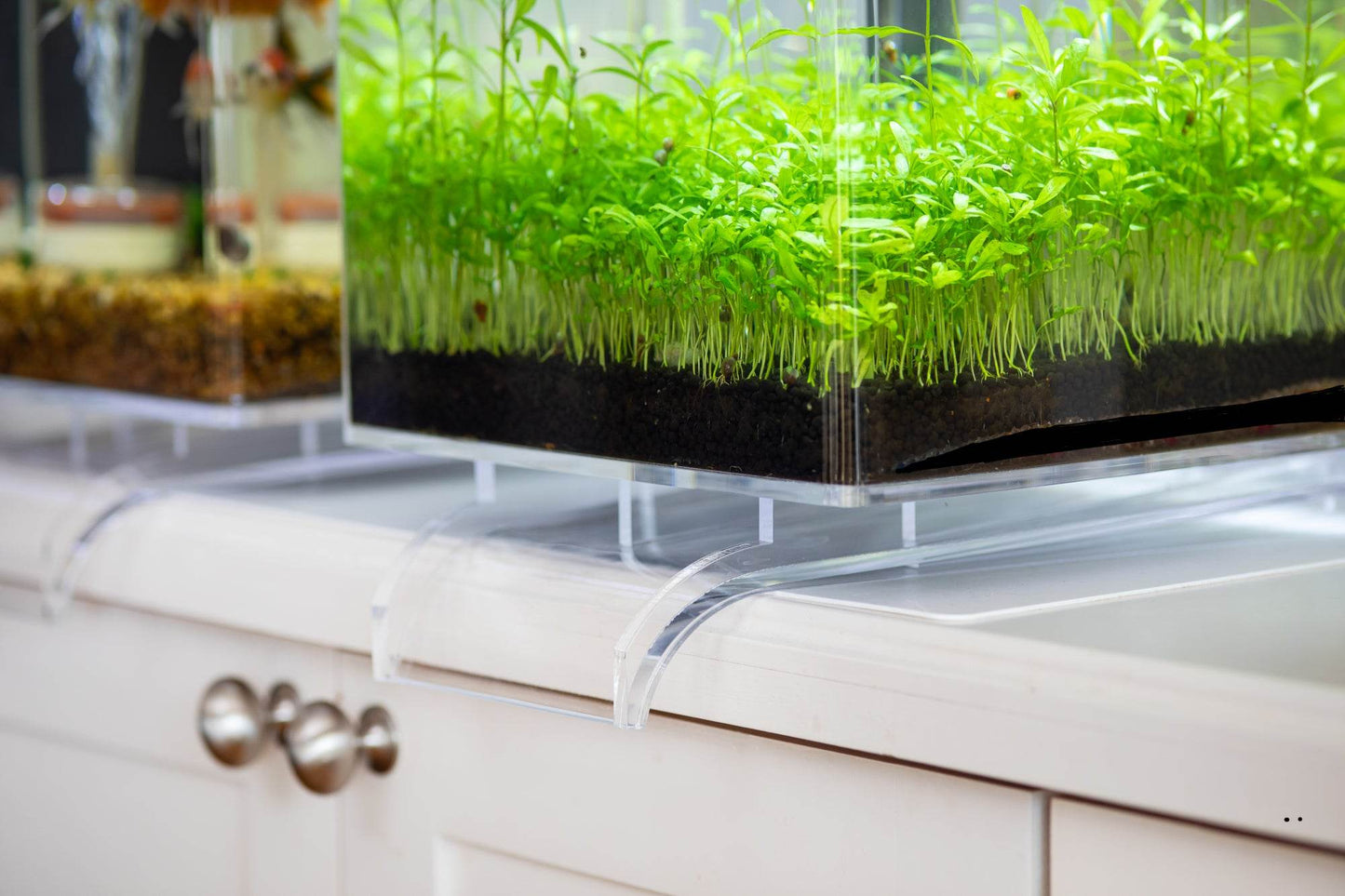 Low-Maintenance, Self-Cleaning Aquarium Kit | Lid | Waterfall Stand | 5 Gallon Cube Hassle-Free Fish Tank - NoClean Aquariums