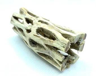 3” CHOLLA LOG | Aquarium Decor | Playground For Your Shrimp | Hardscape - NoClean Aquariums