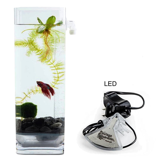 Self-Cleaning Betta Fish Aquariums with LED + River Stones + Food | One Gallon