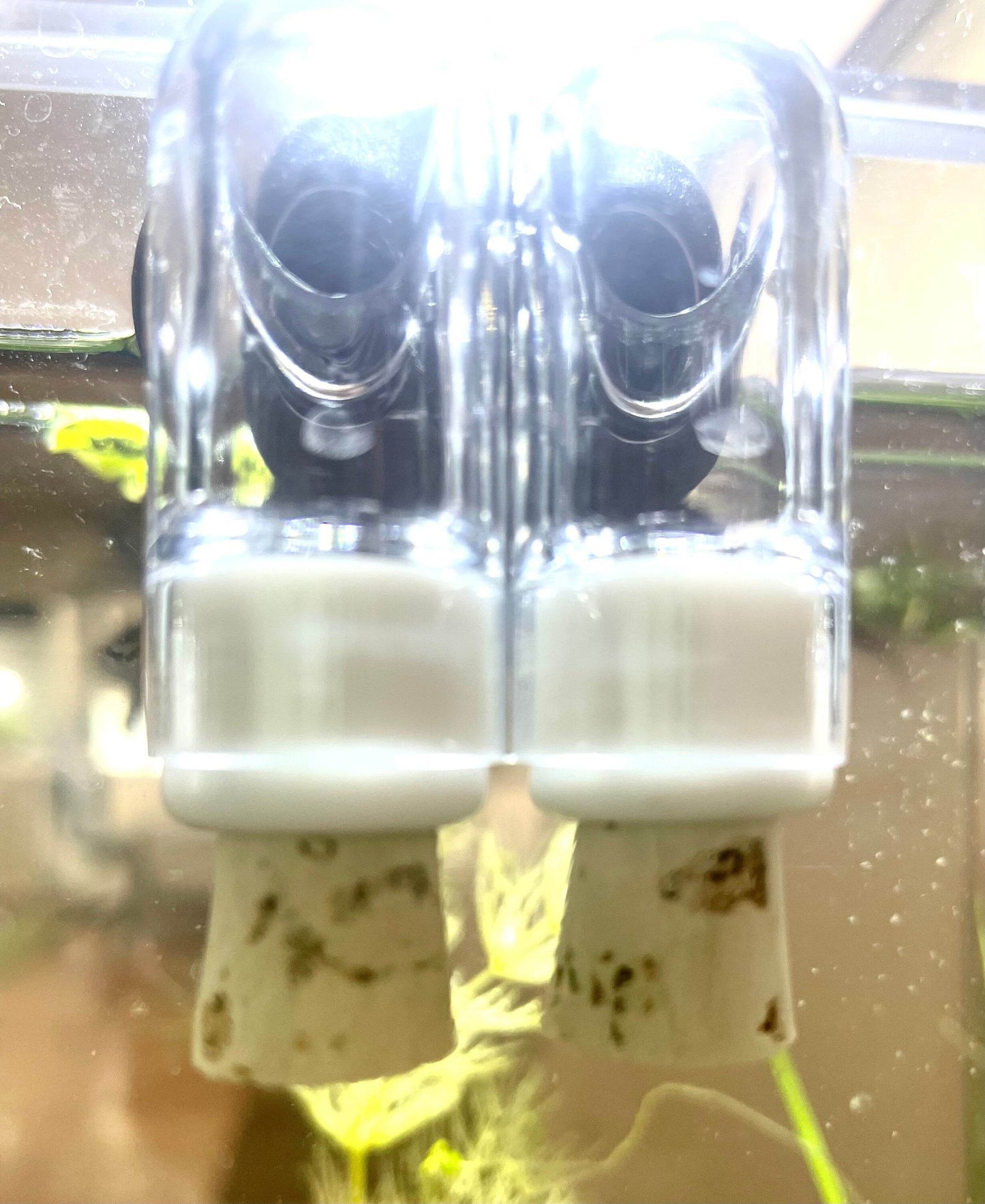 6 Spout Water Stoppers for 5 Gallon NoClean Aquarium | CORK - NoClean Aquariums
