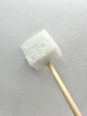 Bamboo Aquarium Brush | Acrylic Safe | 12” Long | “Nerite Brush” for 1 Gallon Betta Aquarium