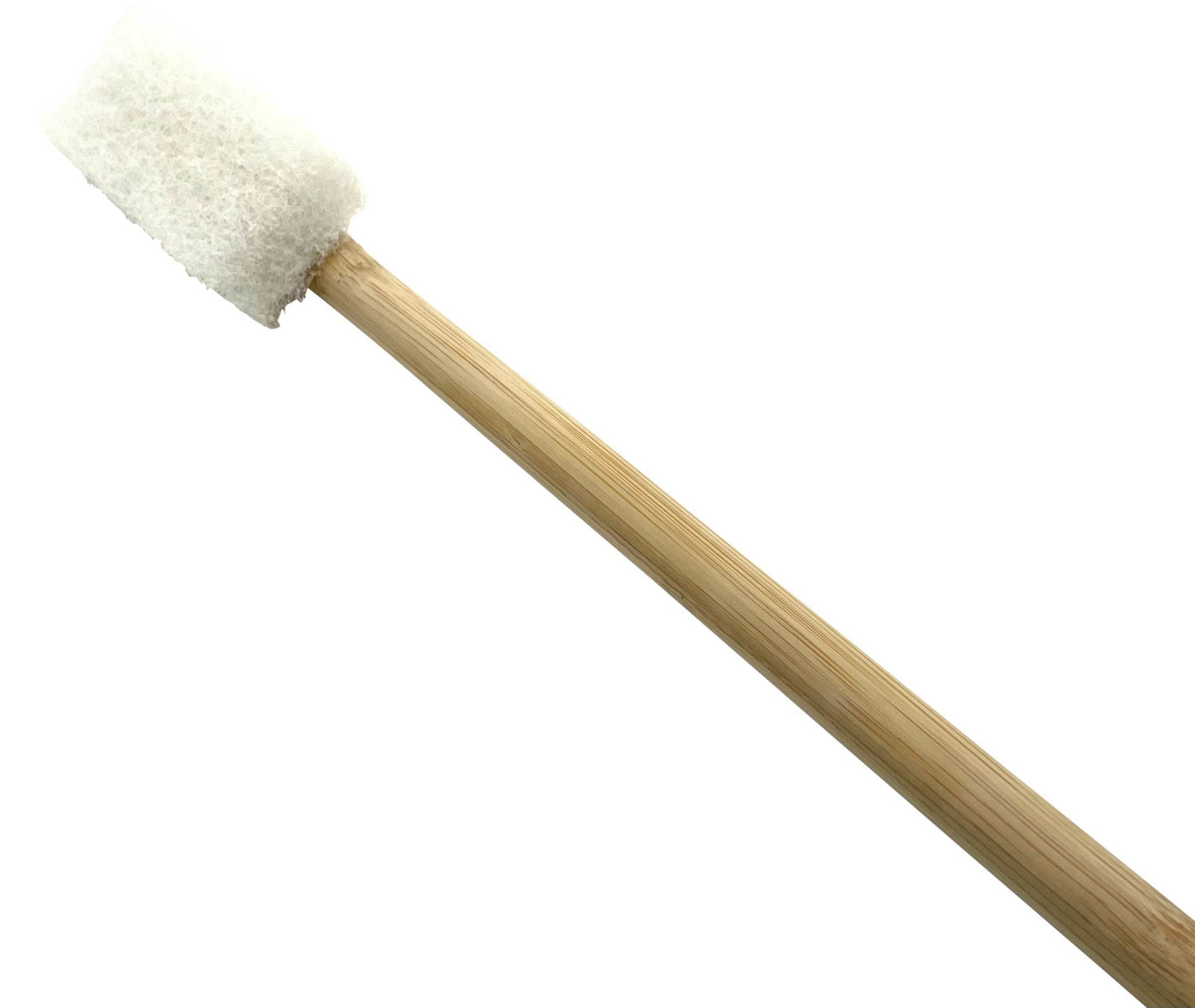 Bamboo Aquarium Brush | Acrylic Safe | 12” Long | “Nerite Brush” - NoClean Aquariums