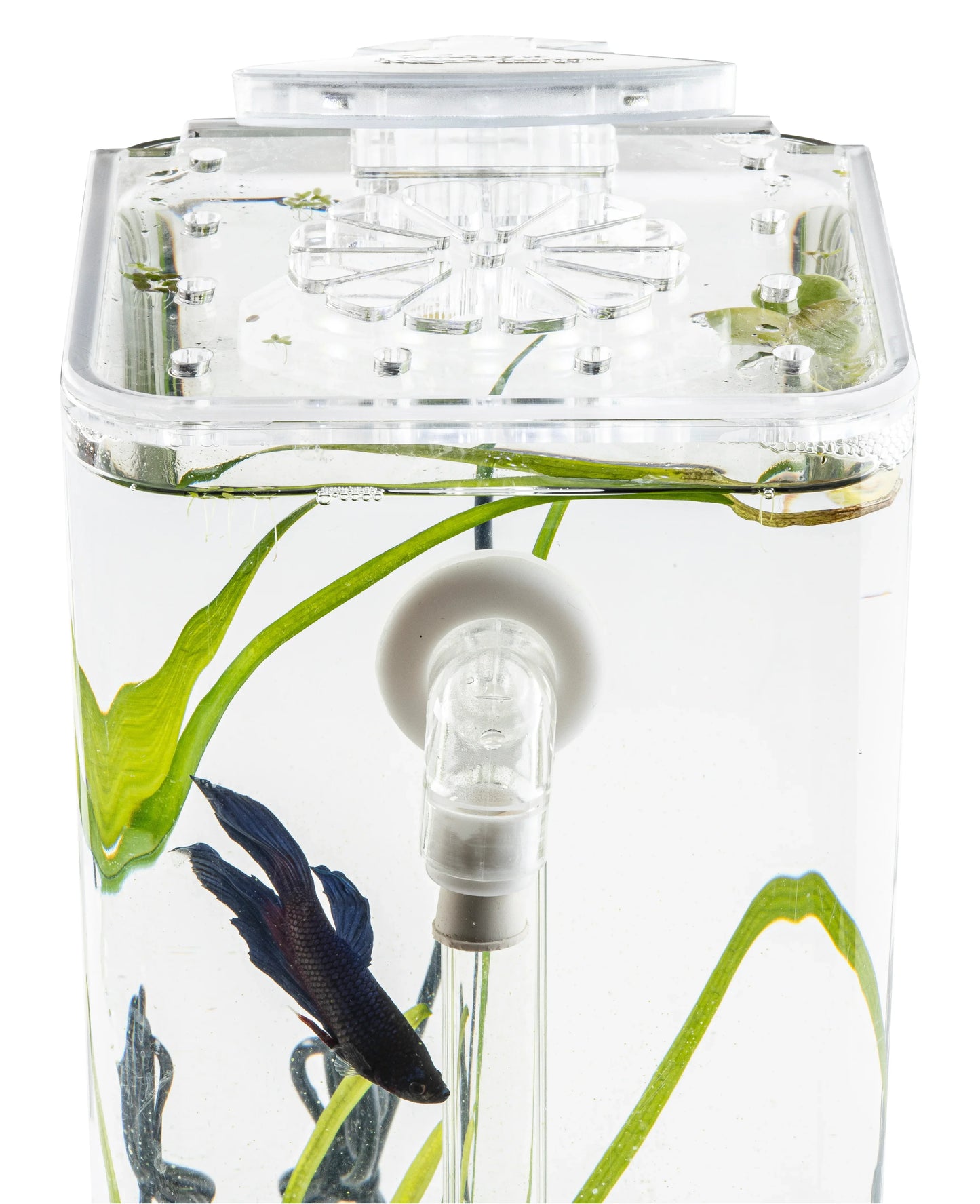 "Lotus" LID for 1 Gallon Self-Cleaning Aquarium