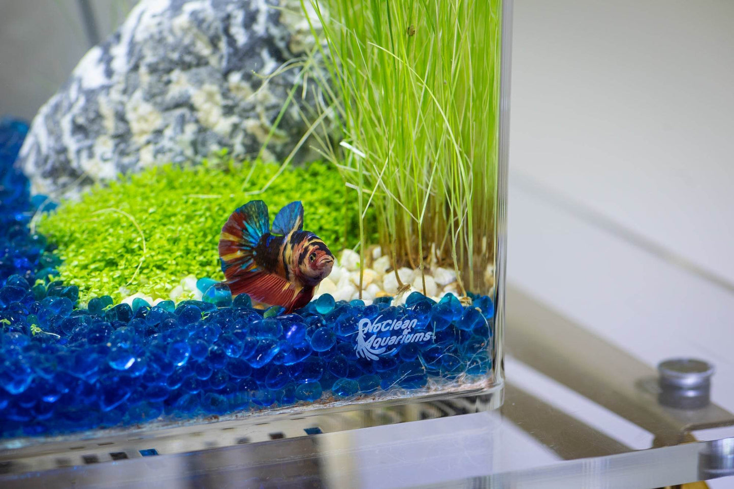 Low-Maintenance, Self-Cleaning Aquarium Kit | Lid | Waterfall Basin | 5 Gallon Cube Hassle-Free Fish Tank - NoClean Aquariums