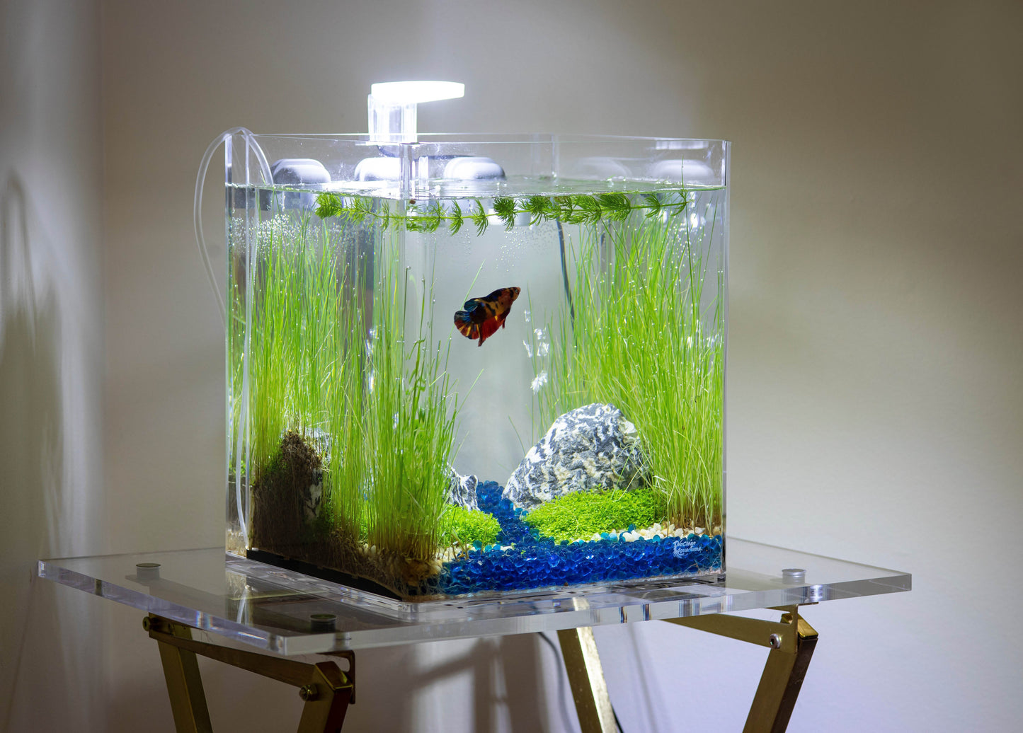 Essential Aquarium Accessory Kit 3: LED Light + Aeration Pump + 50W Heater - NoClean Aquariums
