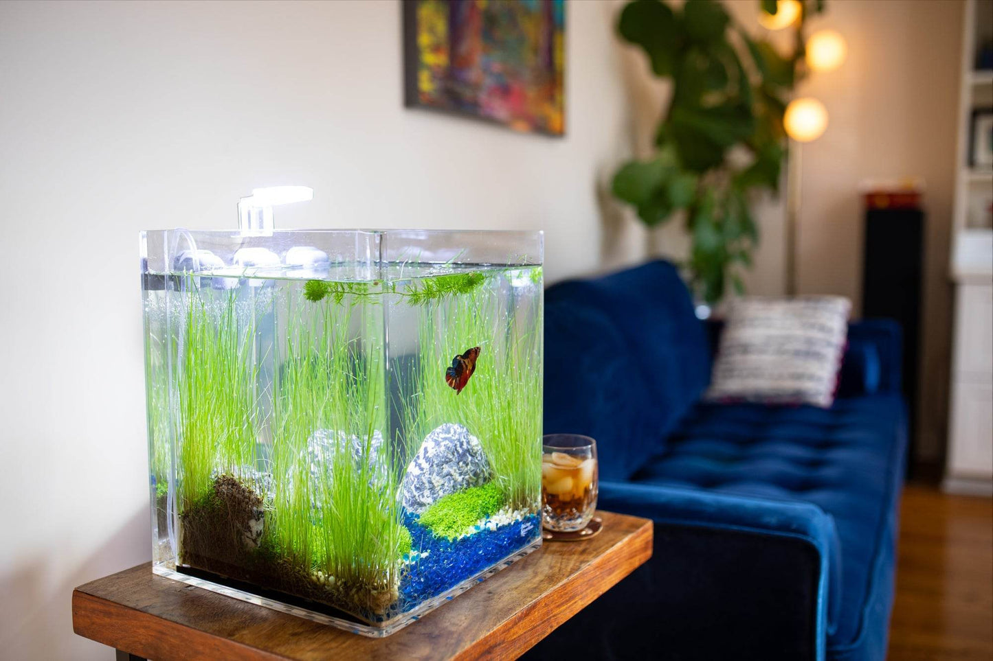 Low-Maintenance, Self-Cleaning Aquarium Kit | Lid | Waterfall Basin | 5 Gallon Cube Hassle-Free Fish Tank - NoClean Aquariums