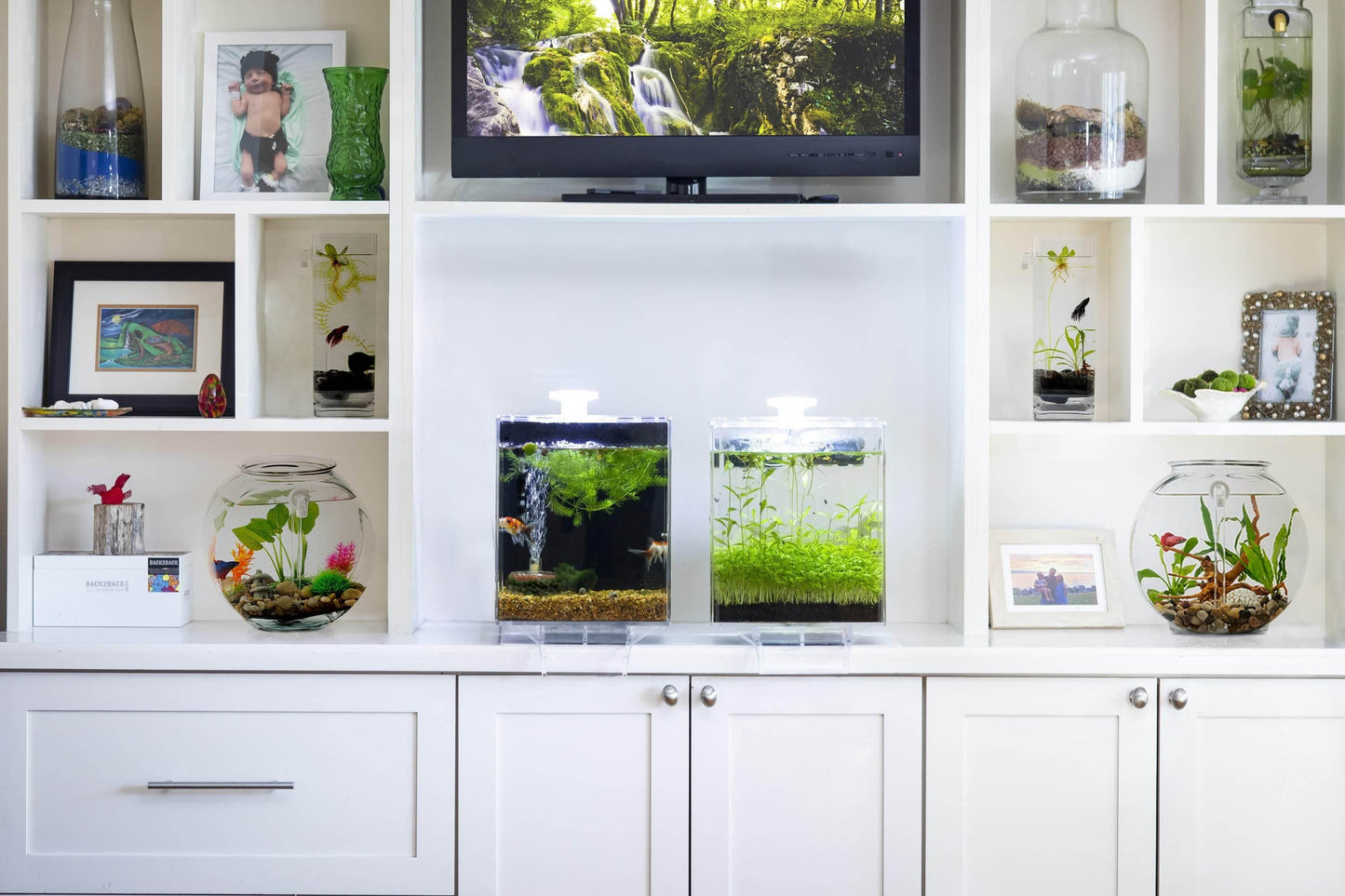 Low-Maintenance, Self-Cleaning Aquarium Kit | Lid | 5 Gallon Cube Hassle-Free Fish Tank - NoClean Aquariums