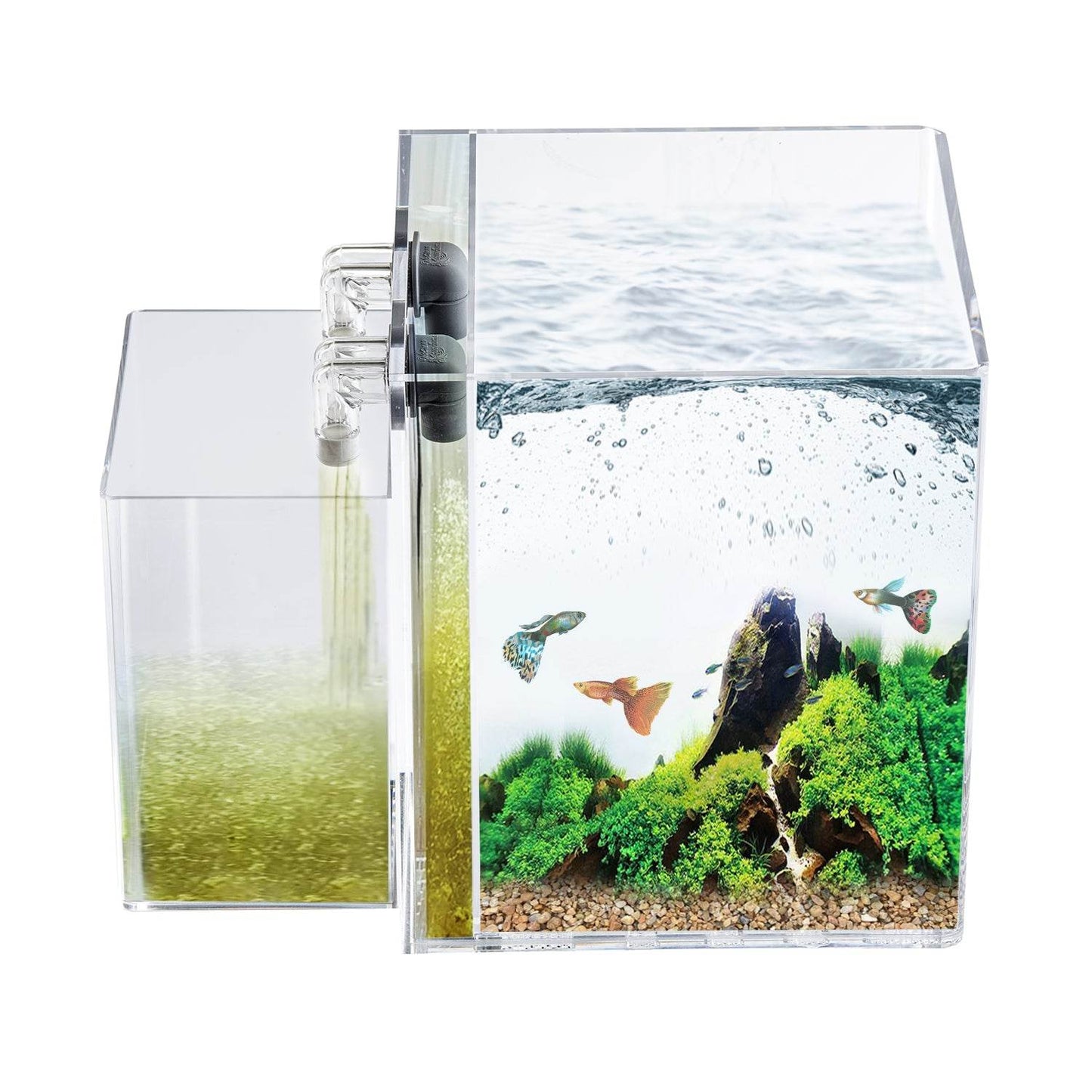 Easy Maintenance, Self-Cleaning Aquarium Kit | Lid | Waterfall Basin | 3 Gallon Cube Hassle Free Fish Tank - NoClean Aquariums