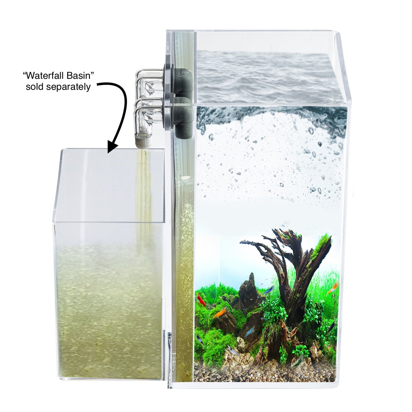 2.5 GALLON Self-Cleaning Aquarium | Rimless | Seamless | Tall Cube