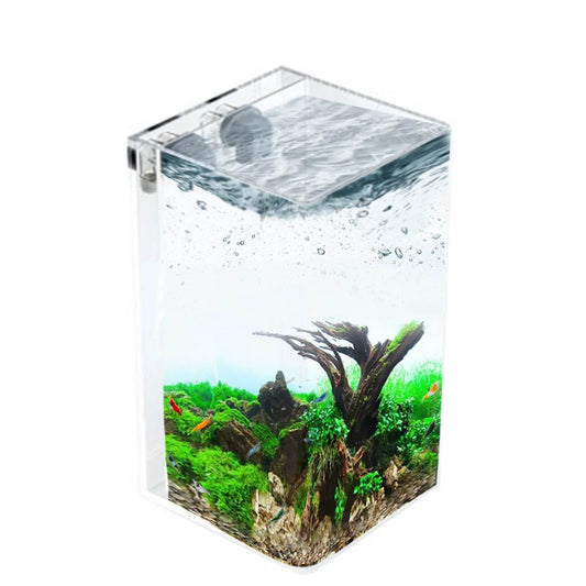 Easy Maintenance, Self-Cleaning Aquarium | Lid | 2.5 Gallon Hassle Free Fish Tank - NoClean Aquariums