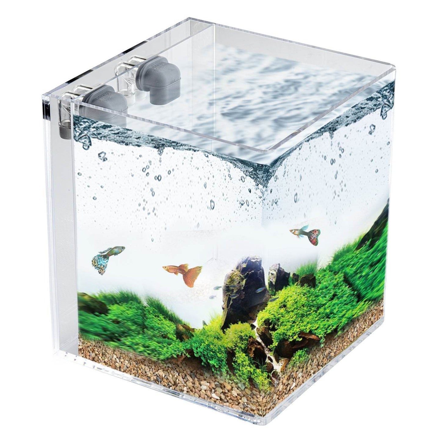 Easy Maintenance, Self-Cleaning Aquarium Kit | Lid | Waterfall Basin | 3 Gallon Cube Hassle Free Fish Tank - NoClean Aquariums