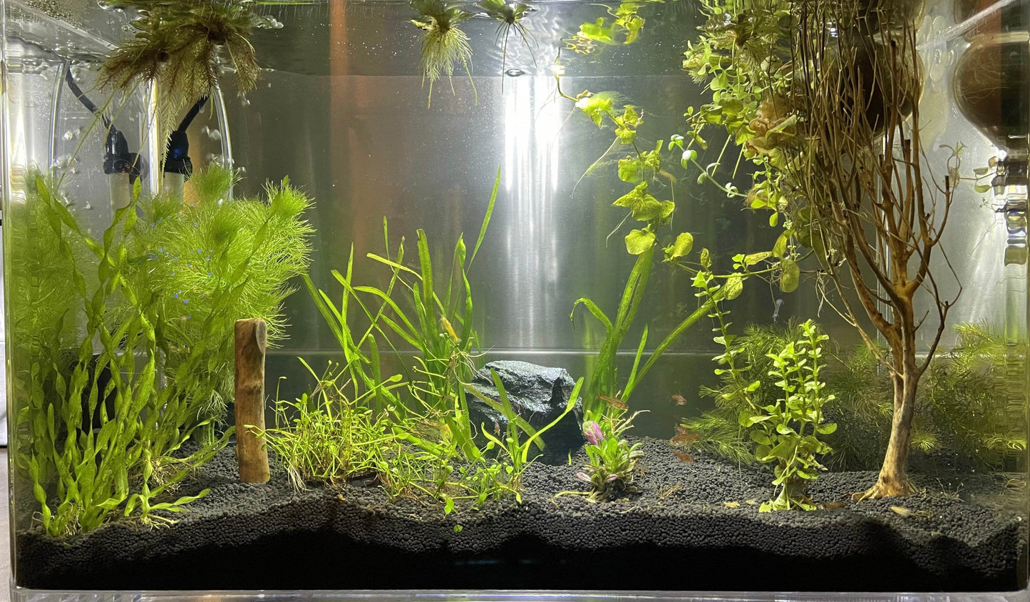 10 GALLON Self-Cleaning Aquarium Kit with Fish Tank + LID + Waterfall Basin | Easy Maintenance with Debris Removing Water Changes - NoClean Aquariums