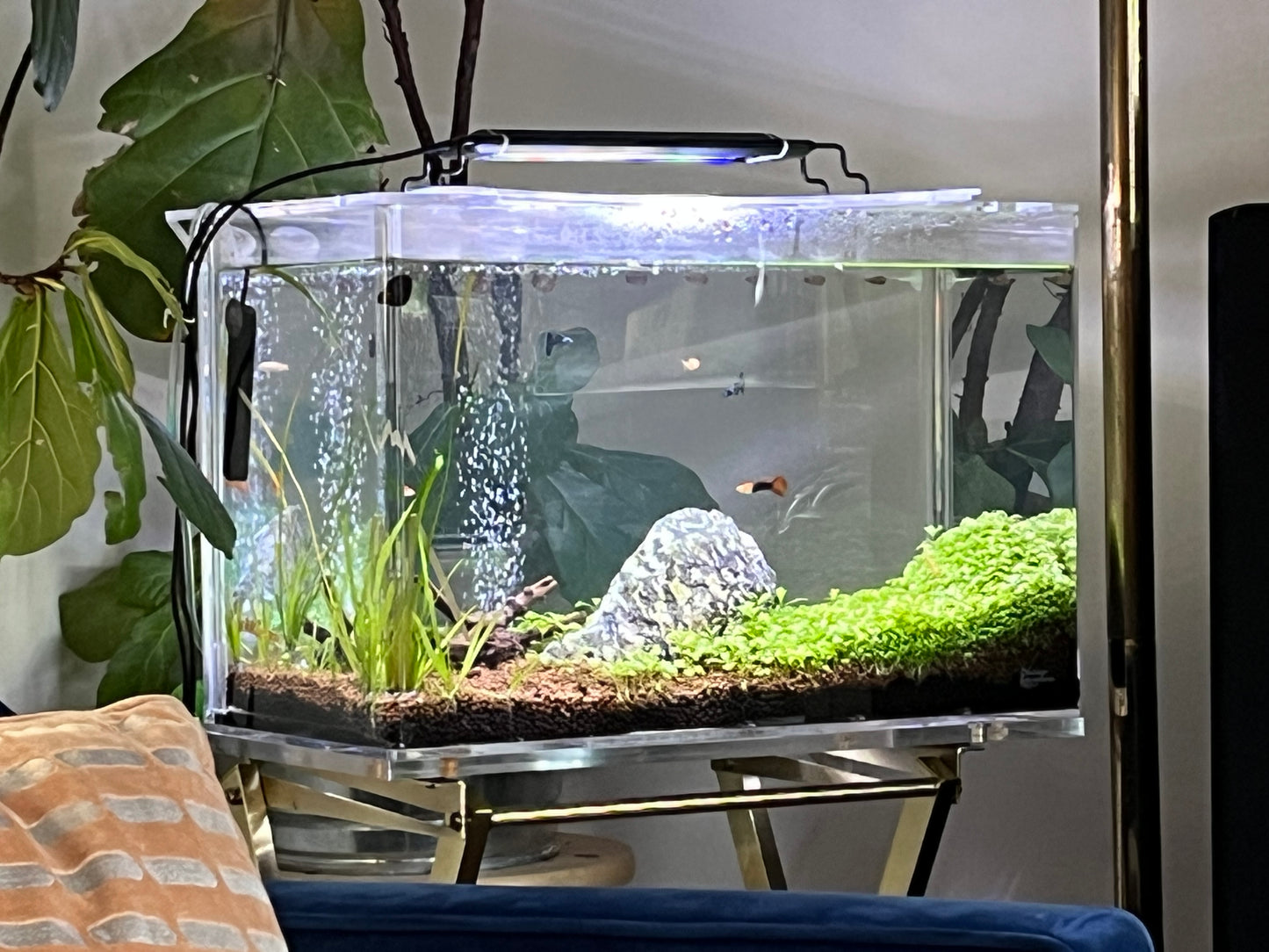 10 GALLON Self-Cleaning Aquarium Kit with Fish Tank + LID + Waterfall Basin | Easy Maintenance with Debris Removing Water Changes