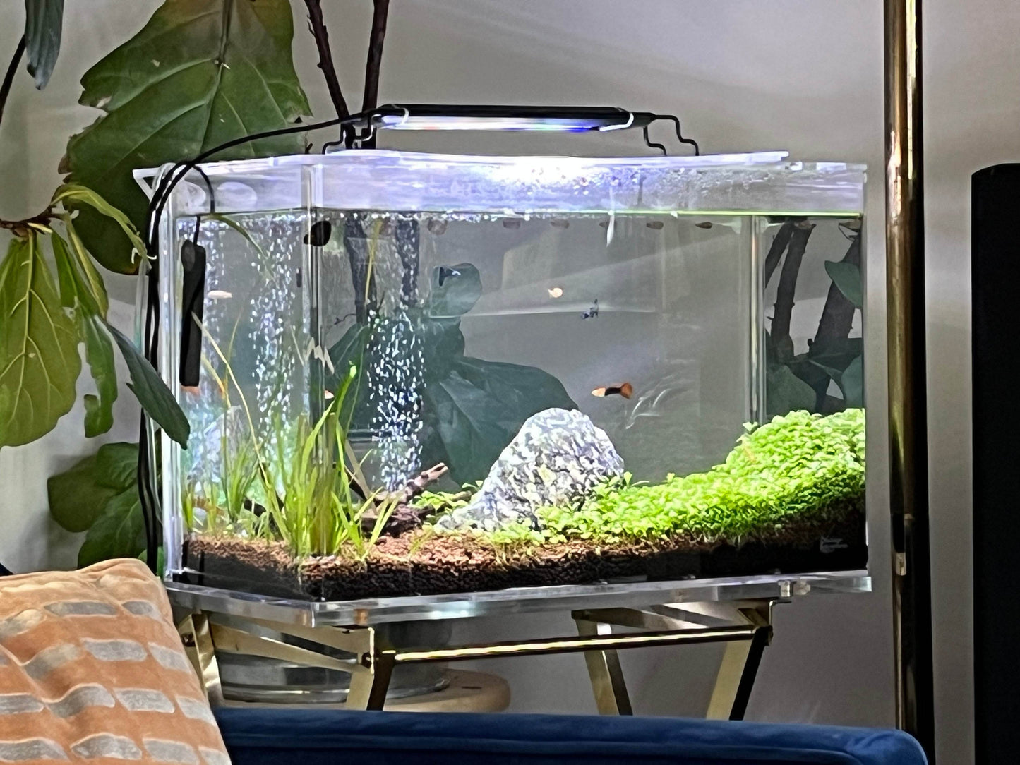 10 GALLON Self-Cleaning Aquarium Kit with Fish Tank + LID + Waterfall Basin | Easy Maintenance with Debris Removing Water Changes - NoClean Aquariums