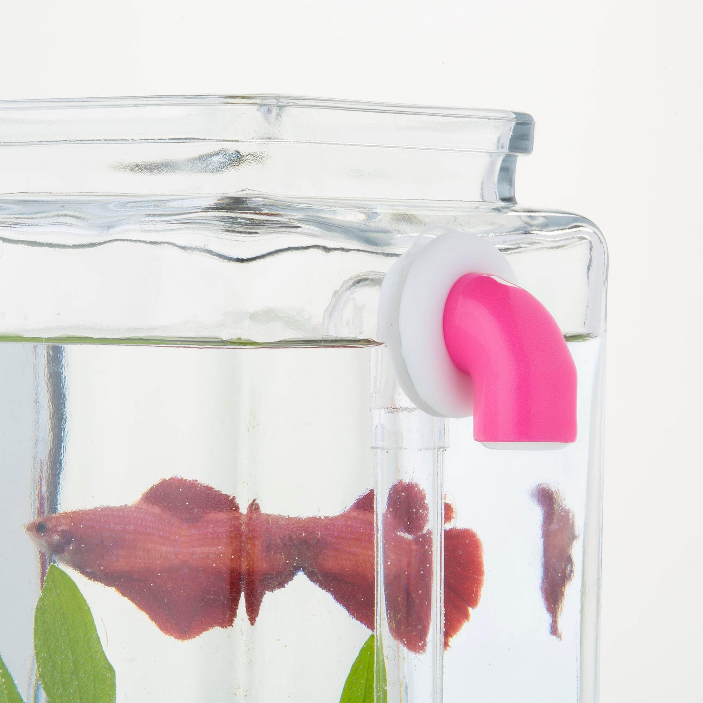 Tap Styles / Colors for 1 Gallon and DIY Kits - NoClean Aquariums