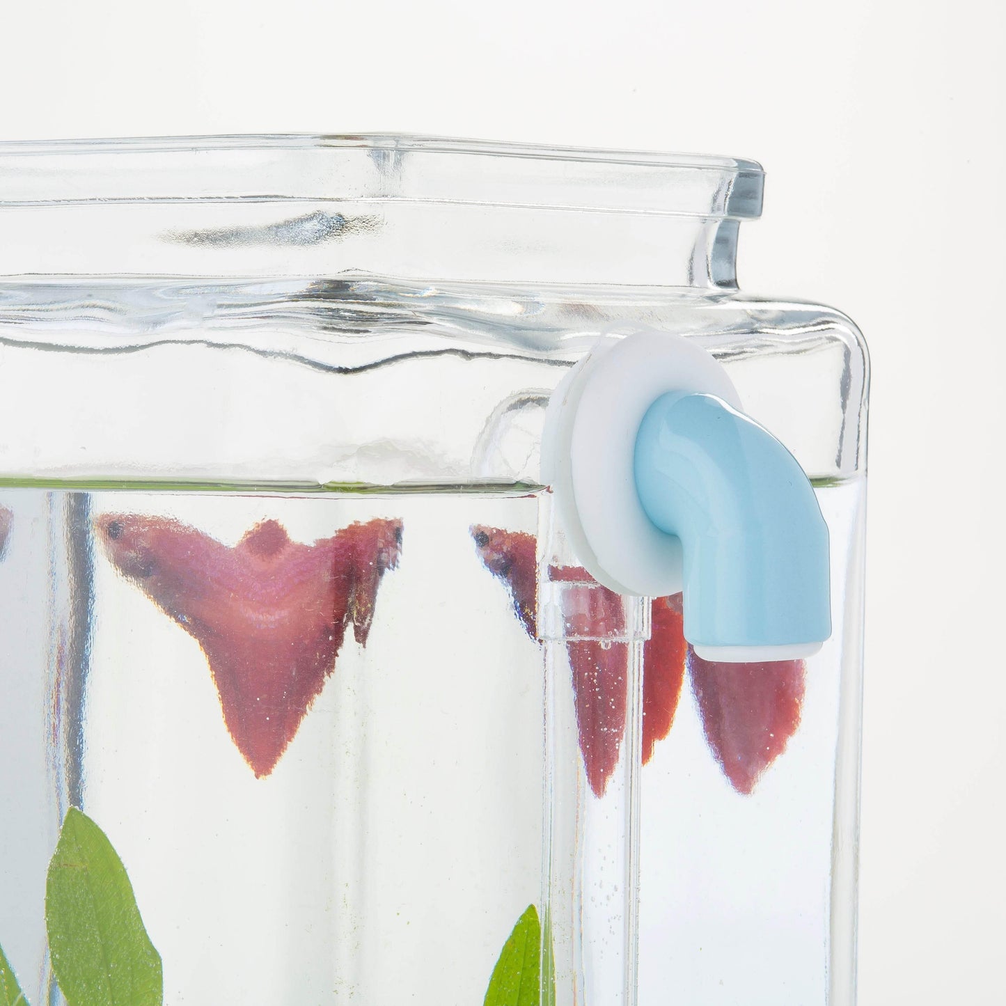 Tap Styles / Colors for 1 Gallon and DIY Kits - NoClean Aquariums