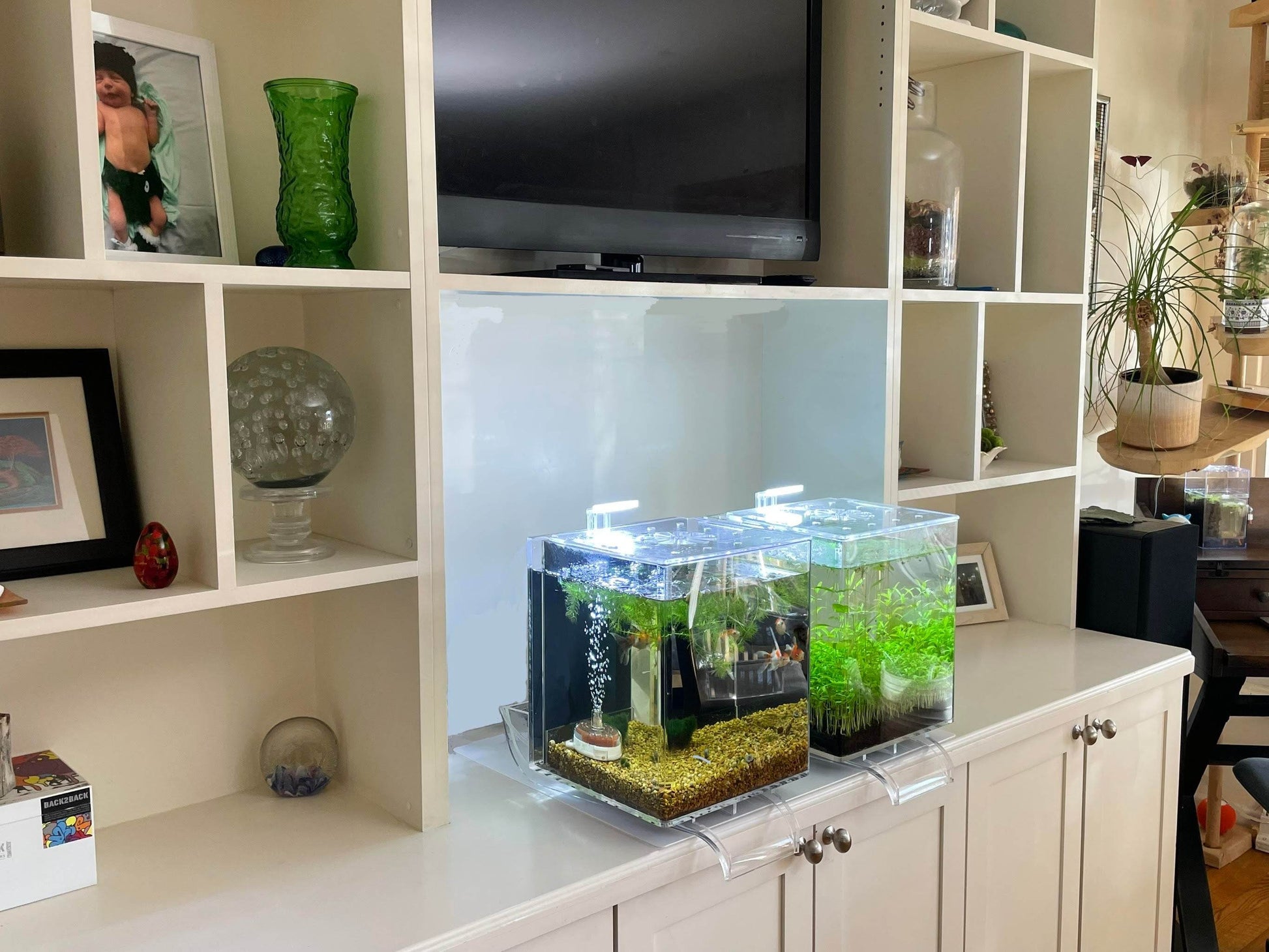Low-Maintenance, Self-Cleaning Aquarium Kit | Lid | 5 Gallon Cube Hassle-Free Fish Tank - NoClean Aquariums