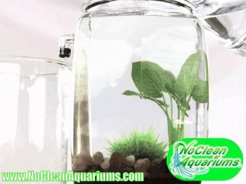DIY Self Cleaning Conversion Kit for Anchor Hocking, 2 Gallon Fishbowl - NoClean Aquariums