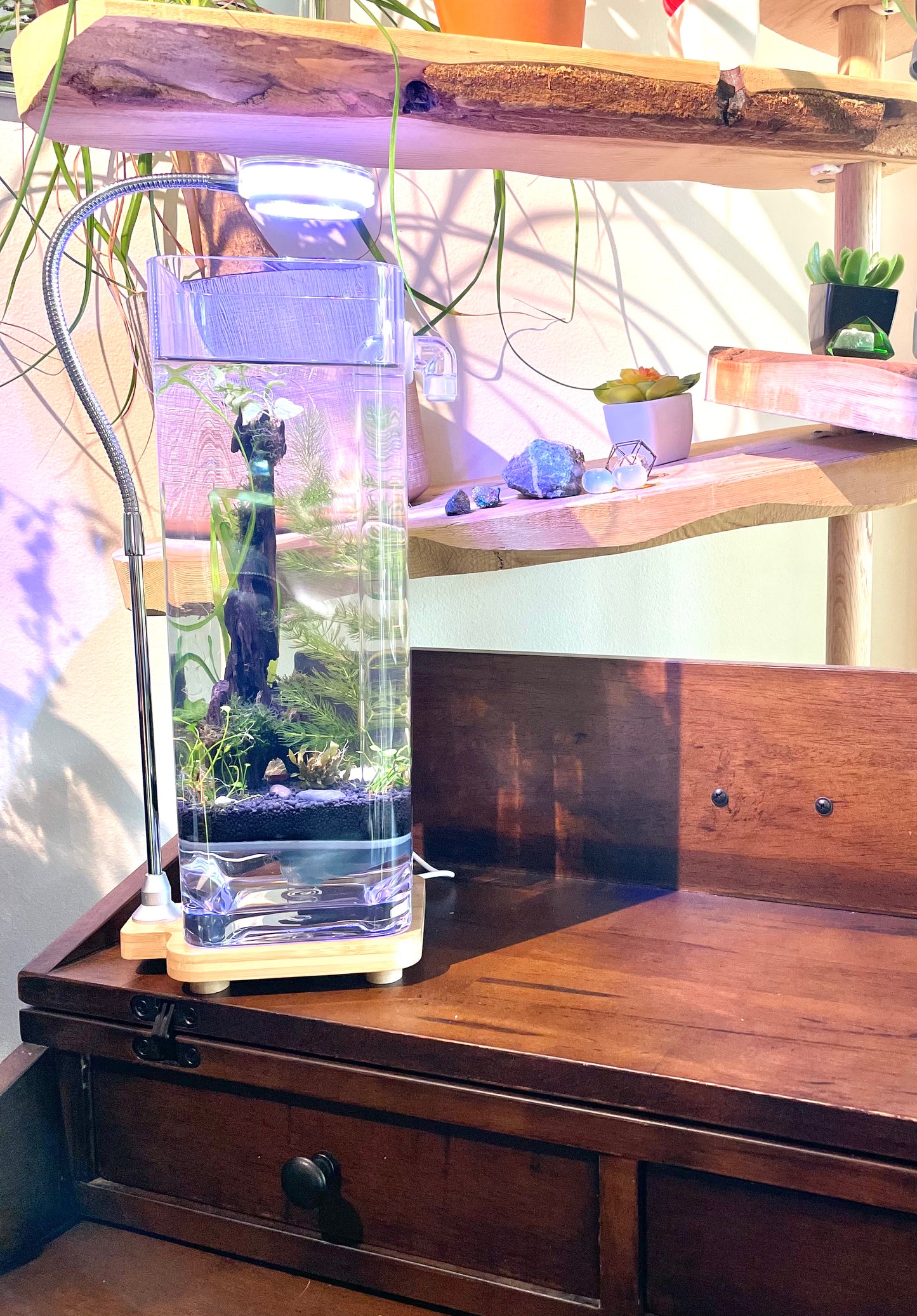 Fine Grill + Aquarium Soil + Plant Anchors Kit | For 1 Gallon Tank
