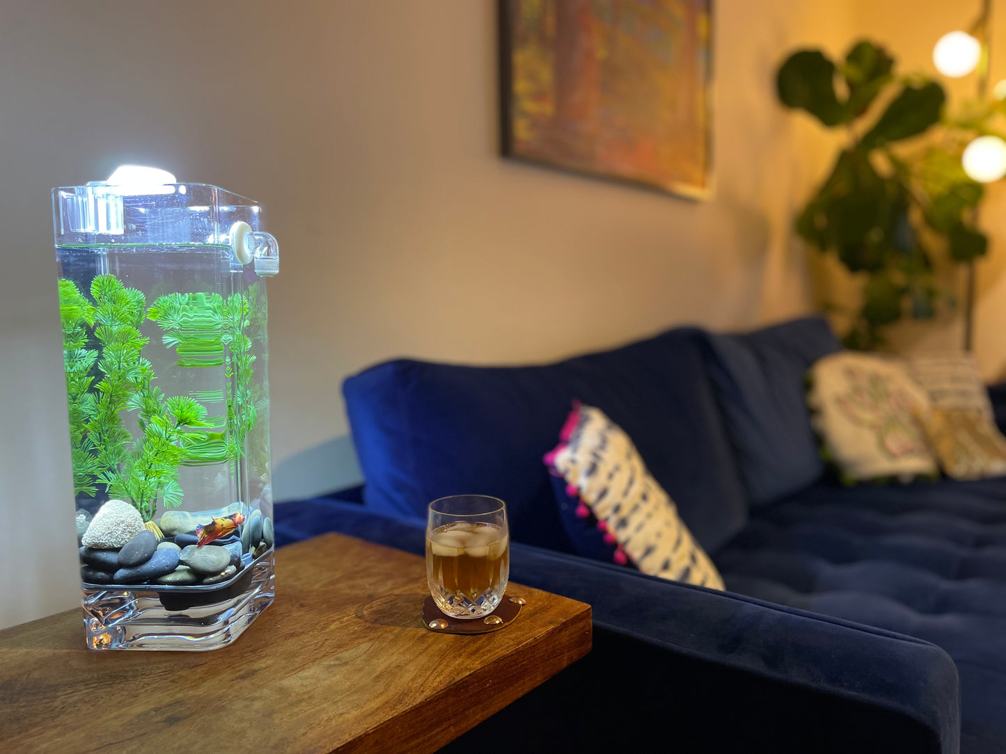 Self-Cleaning Betta Fish Aquariums with LED + River Stones + Food | One Gallon