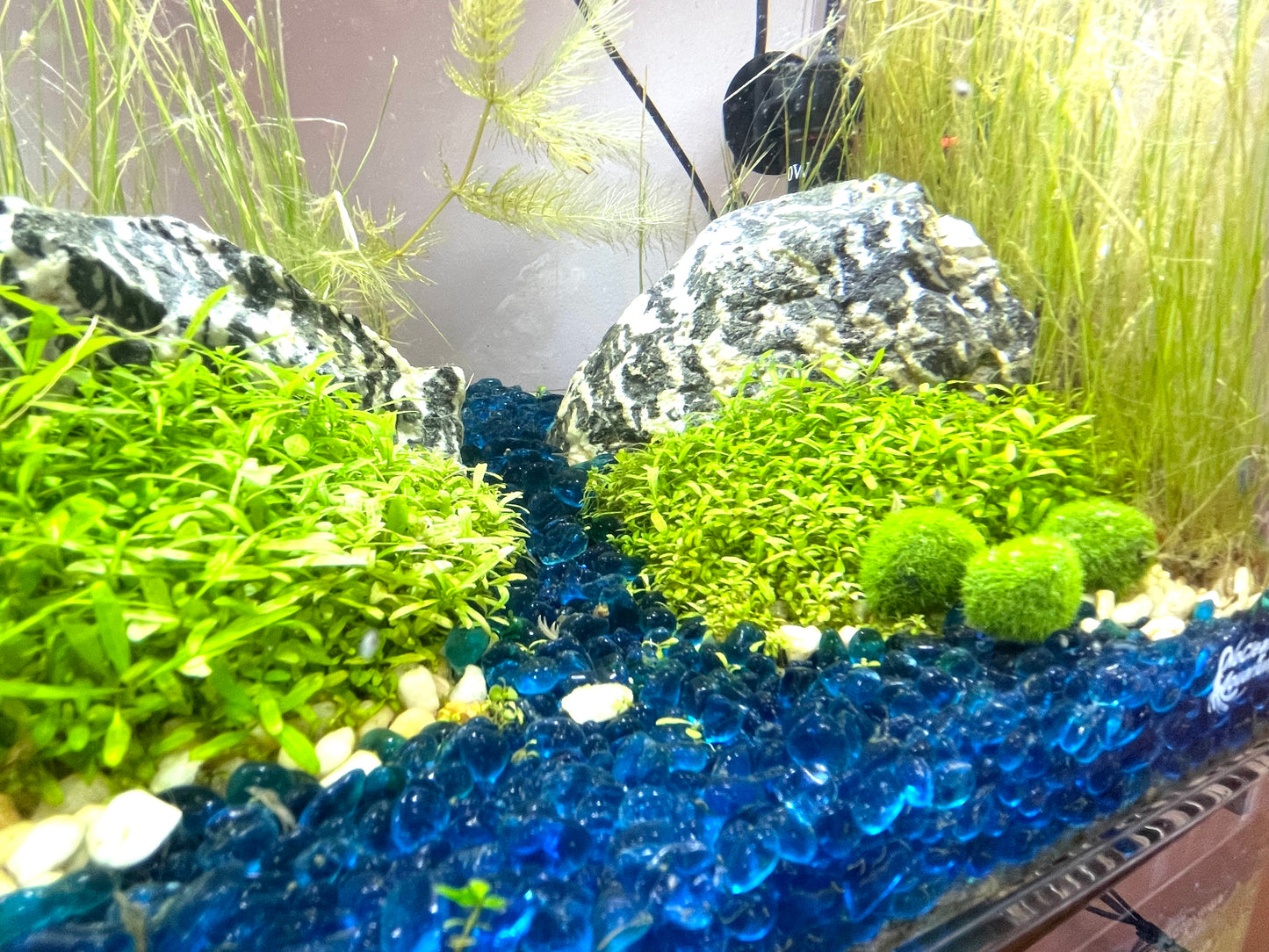 3 Artificial Marimo Moss Balls | Weighted | Aquarium Decoration