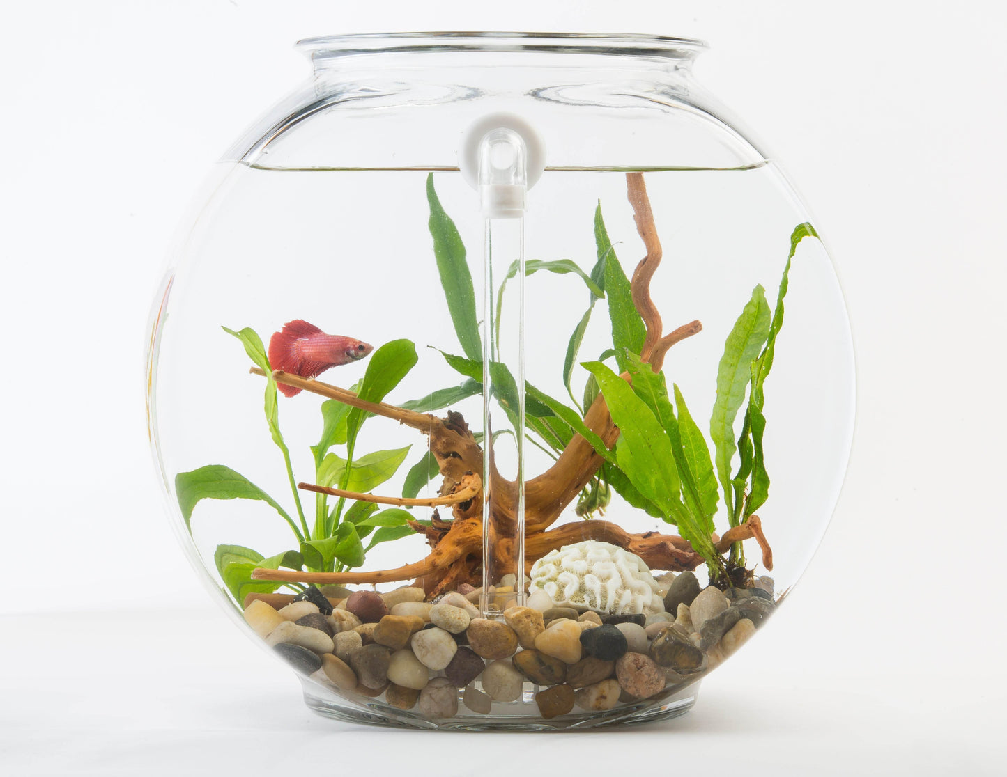 DIY Self Cleaning Conversion Kit for Anchor Hocking, 2 Gallon Fishbowl - NoClean Aquariums