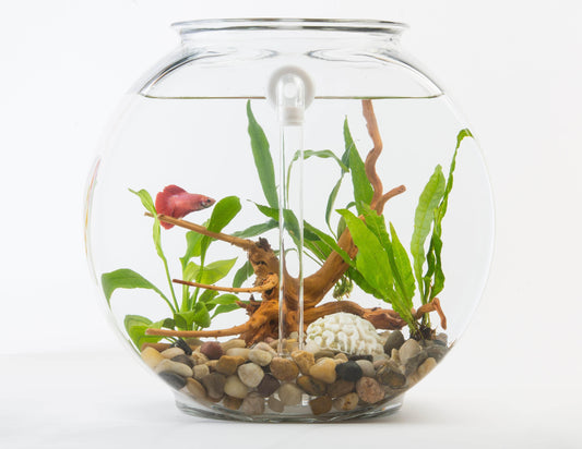 DIY Self Cleaning Conversion Kit for Anchor Hocking, 2 Gallon Fishbowl - NoClean Aquariums