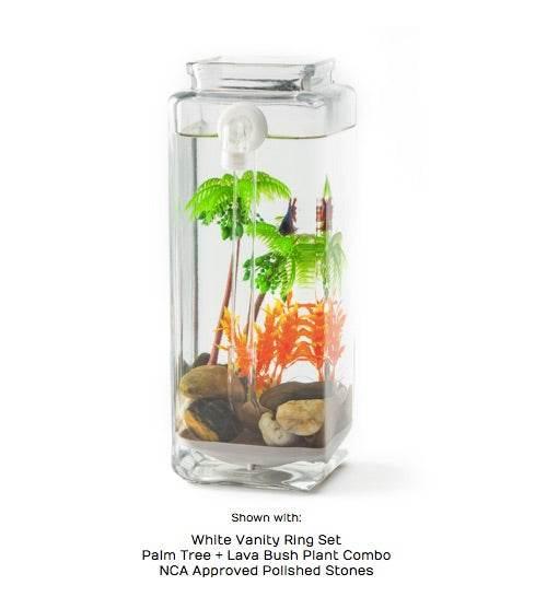 Upgrade Kit for Original (2011) Self-Cleaning Betta Tank - NoClean Aquariums