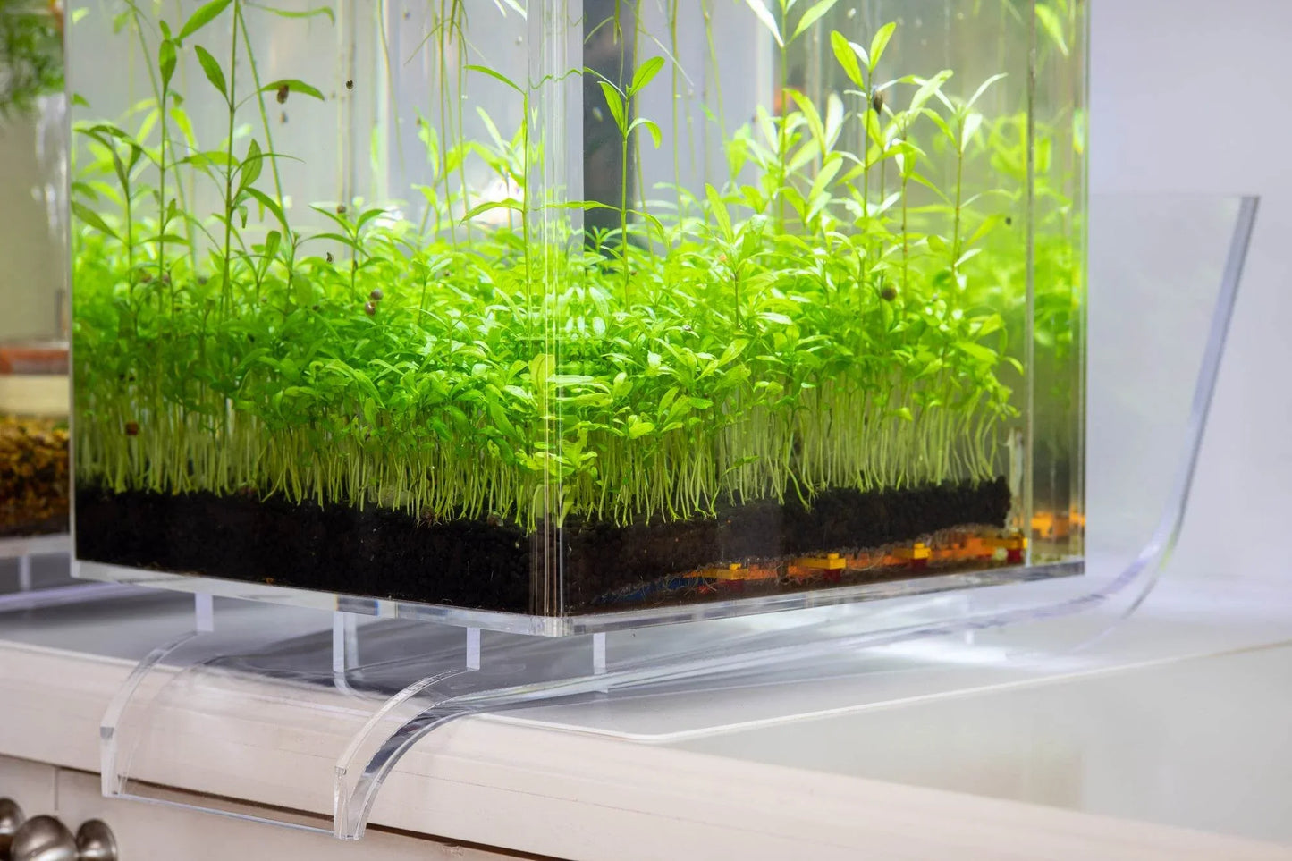 WATERFALL STAND | EASY Water Changes | 5 Gallon Self-Cleaning Aquarium - NoClean Aquariums