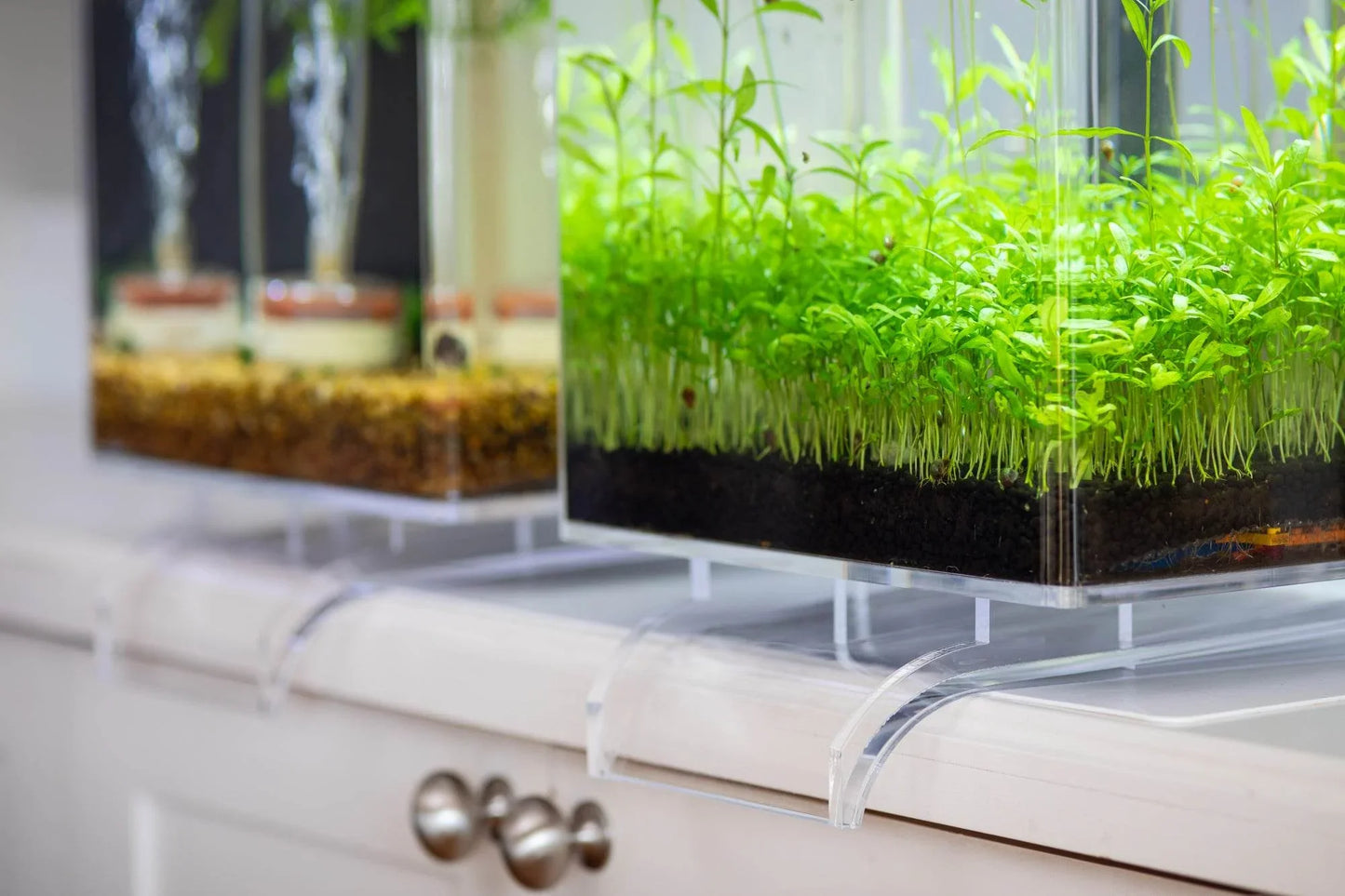 WATERFALL STAND | EASY Water Changes | 5 Gallon Self-Cleaning Aquarium - NoClean Aquariums