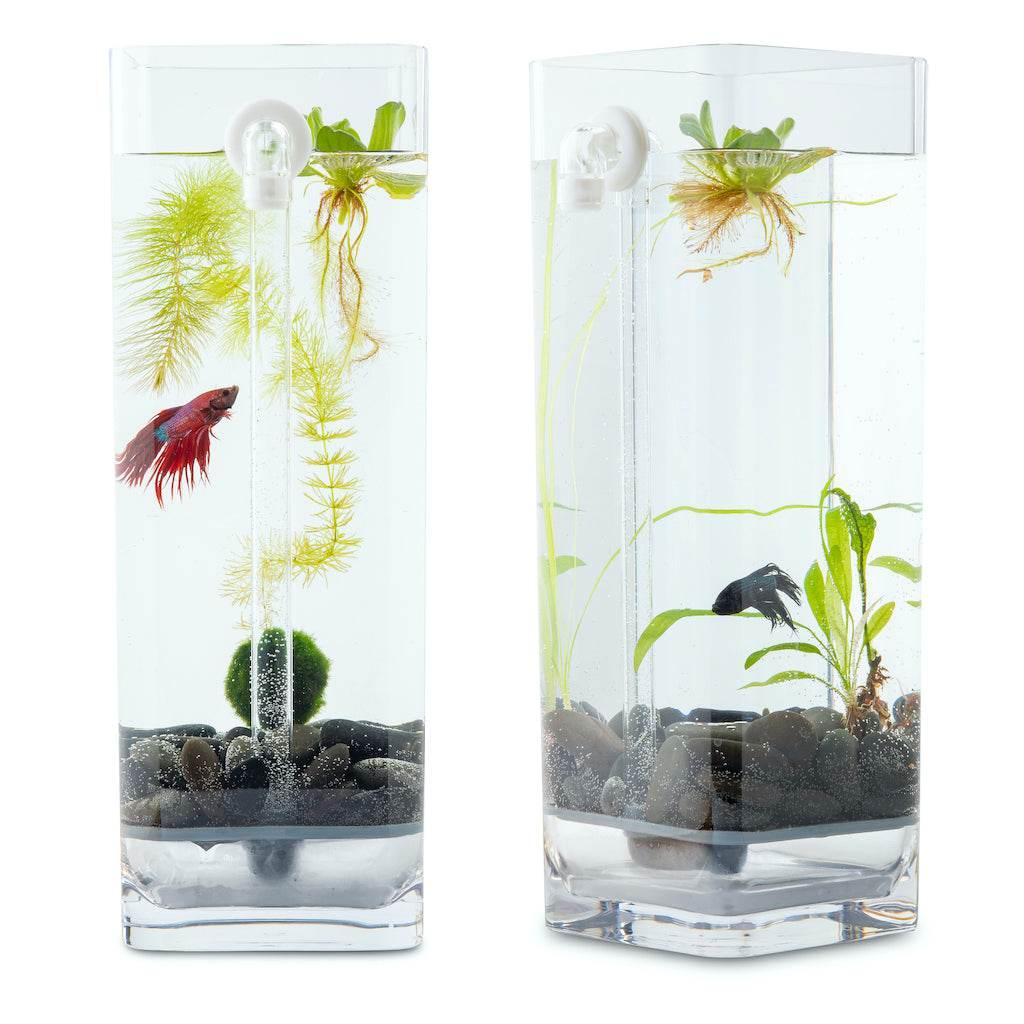 Hassle-Free, Self-Cleaning Betta Fish Tank Kit | River Stones | Food | 1-Gallon - NoClean Aquariums