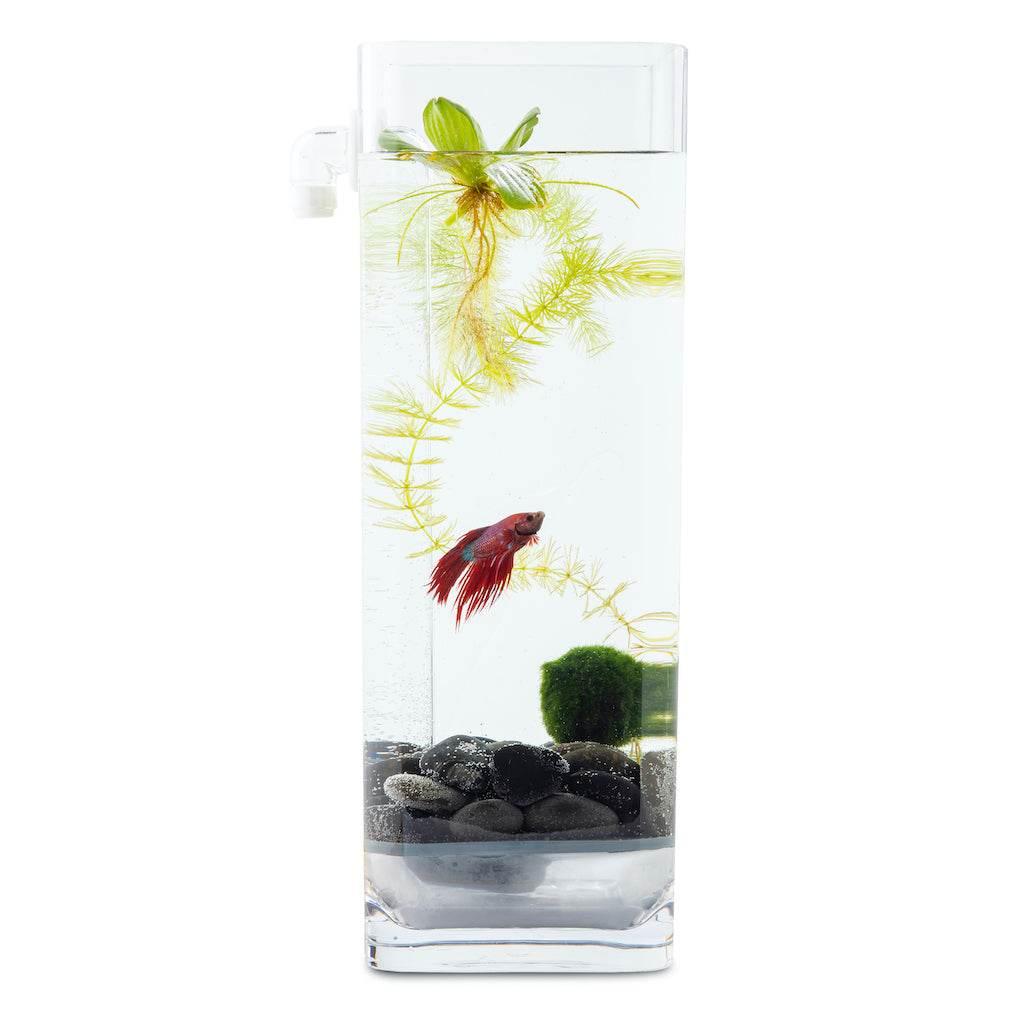 Hassle-Free, Self-Cleaning Betta Fish Tank Kit | River Stones | Food | 1-Gallon - NoClean Aquariums