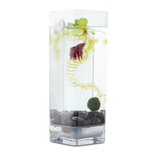 Hassle-Free, Self-Cleaning Betta Fish Tank Kit | River Stones | Food | 1-Gallon - NoClean Aquariums