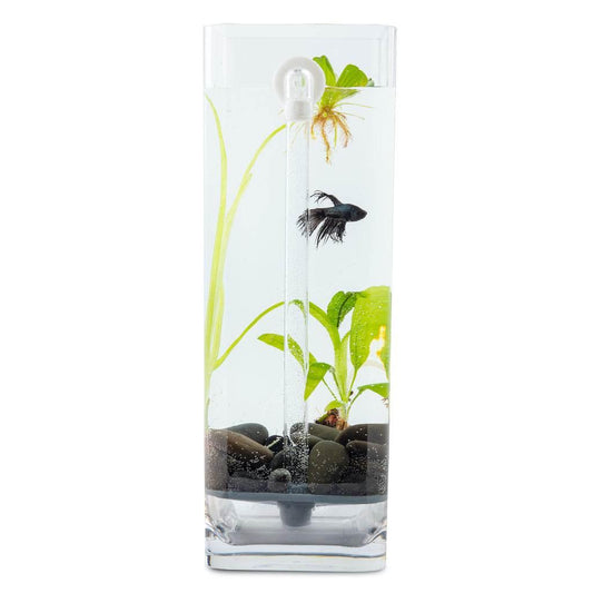 Hassle-Free, Self-Cleaning Betta Fish Tank Kit | River Stones | Food | 1-Gallon - NoClean Aquariums