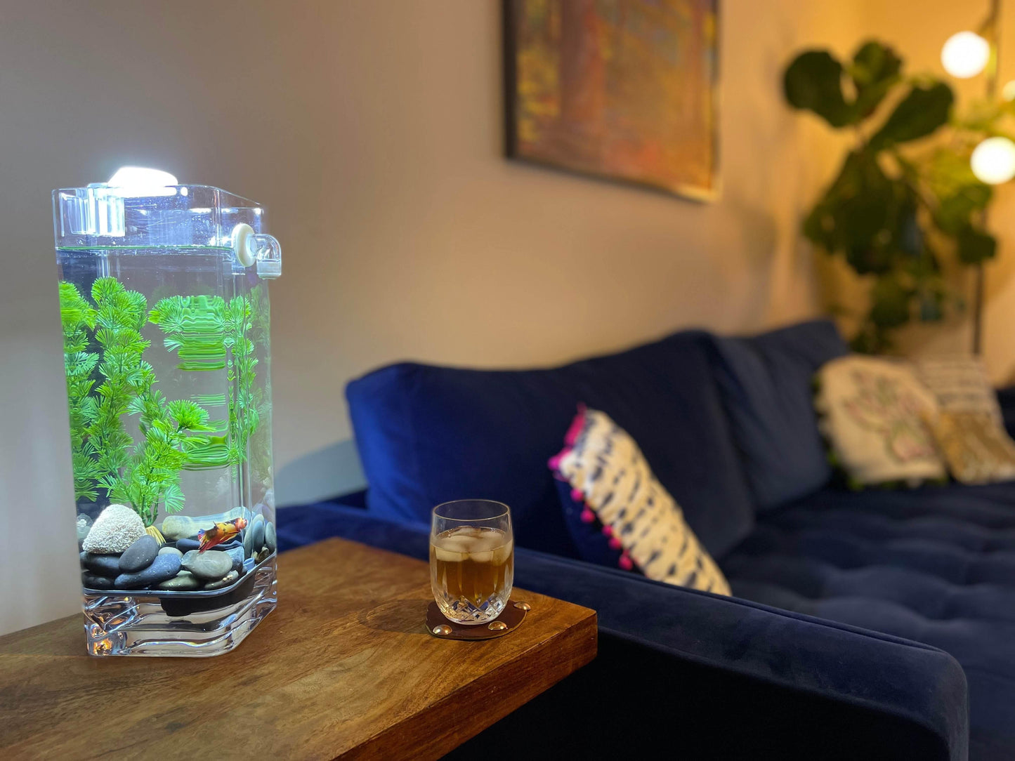 Dazzle LED Aquarium Light - NoClean Aquariums