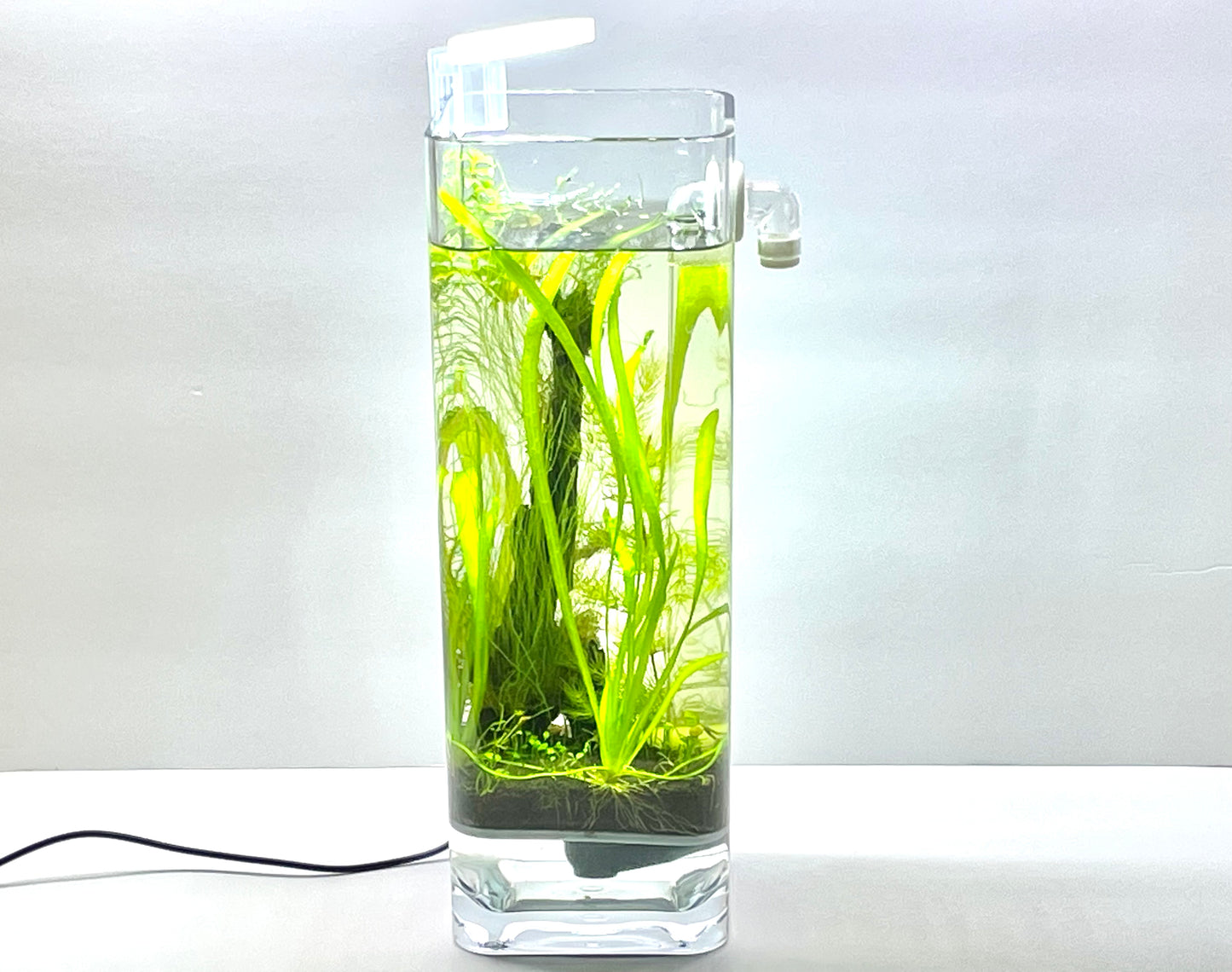 Fine Grill + Aquarium Soil + Plant Anchors Kit | For 1 Gallon Tank