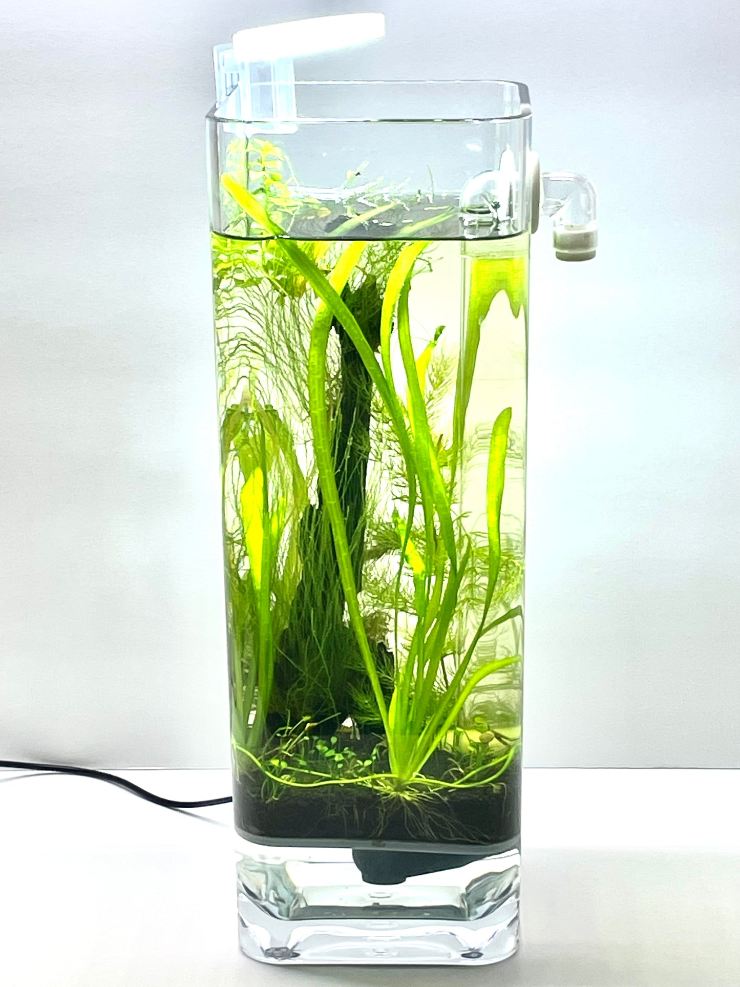 Fine Grill + Aquarium Soil + Plant Anchors Kit | For 1 Gallon Tank