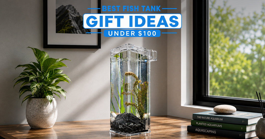 Best Fish Tank Gift Ideas Under $100
