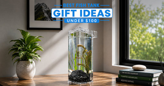 Best Fish Tank Gift Ideas Under $100