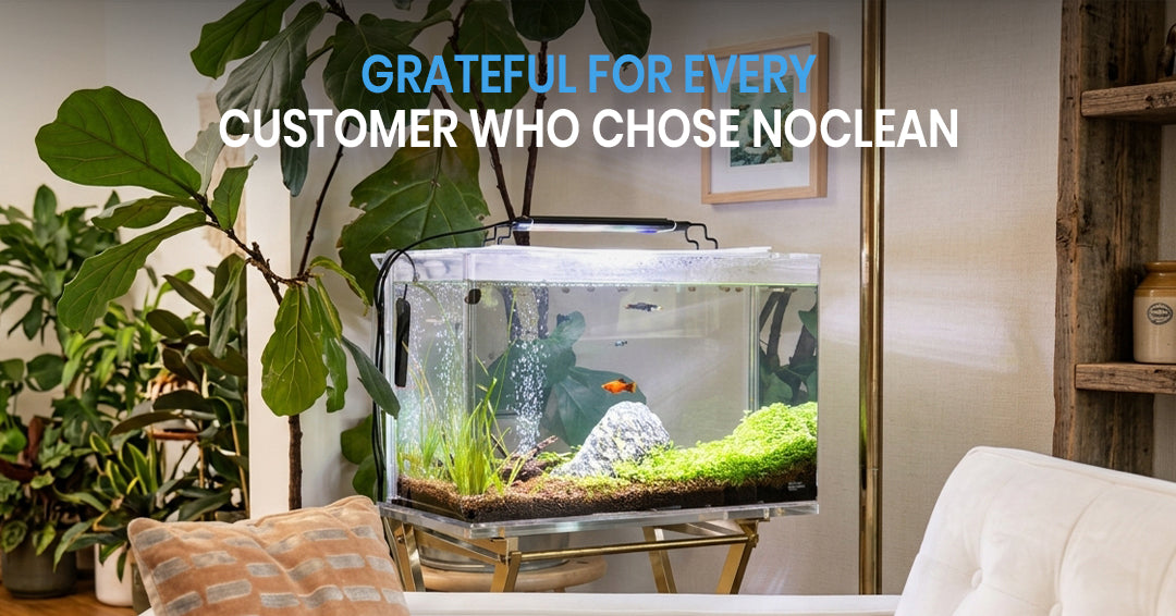 Thanksgiving Gratitude: Customer Stories That Inspire Us