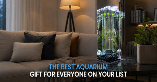 Holiday Gift Guide: The Best Aquarium for Every Person on Your List