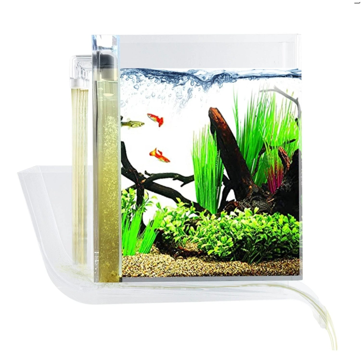 5 Gallon - NoClean Aquariums