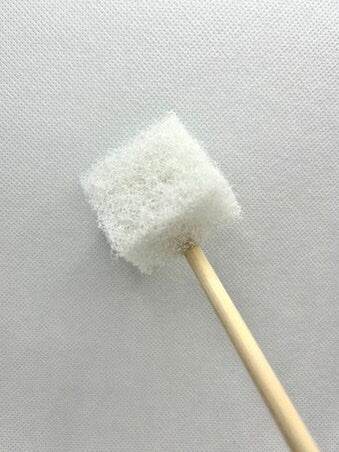 Bamboo Aquarium Brush | Acrylic Safe | 12” Long | “Nerite Brush” for 1 Gallon Betta Aquarium - NoClean Aquariums