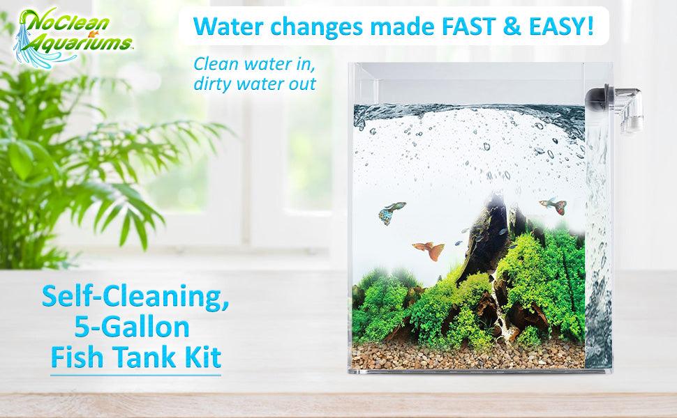 Photo inspiration: Buy 5 Gal Aquarium Lid Clean Low Maintenance Tank Upgrade Photo Inspiration