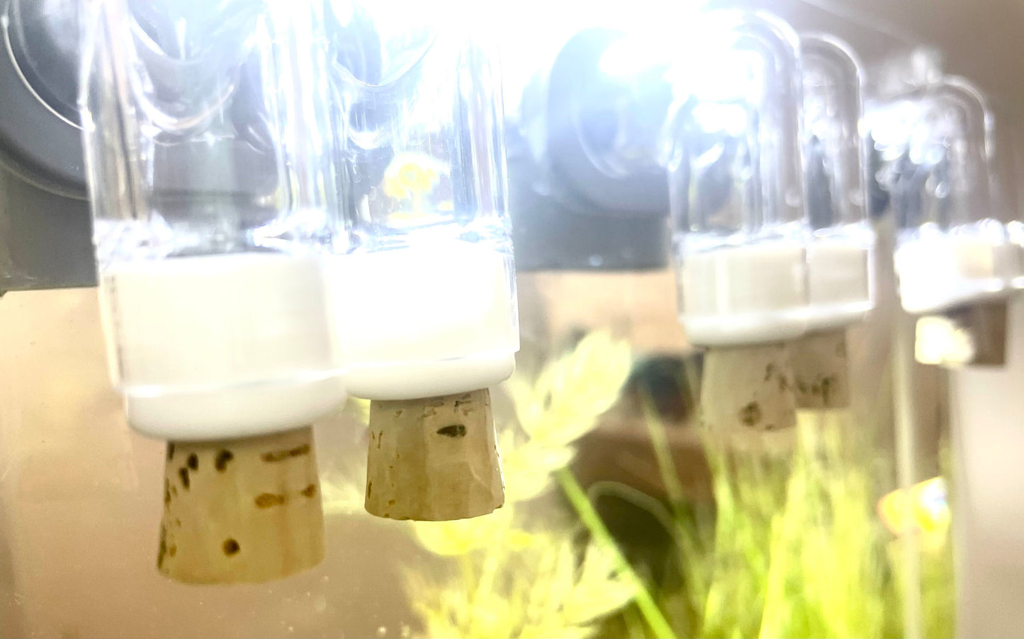 6 Spout Water Stoppers for 5 Gallon NoClean Aquarium | CORK