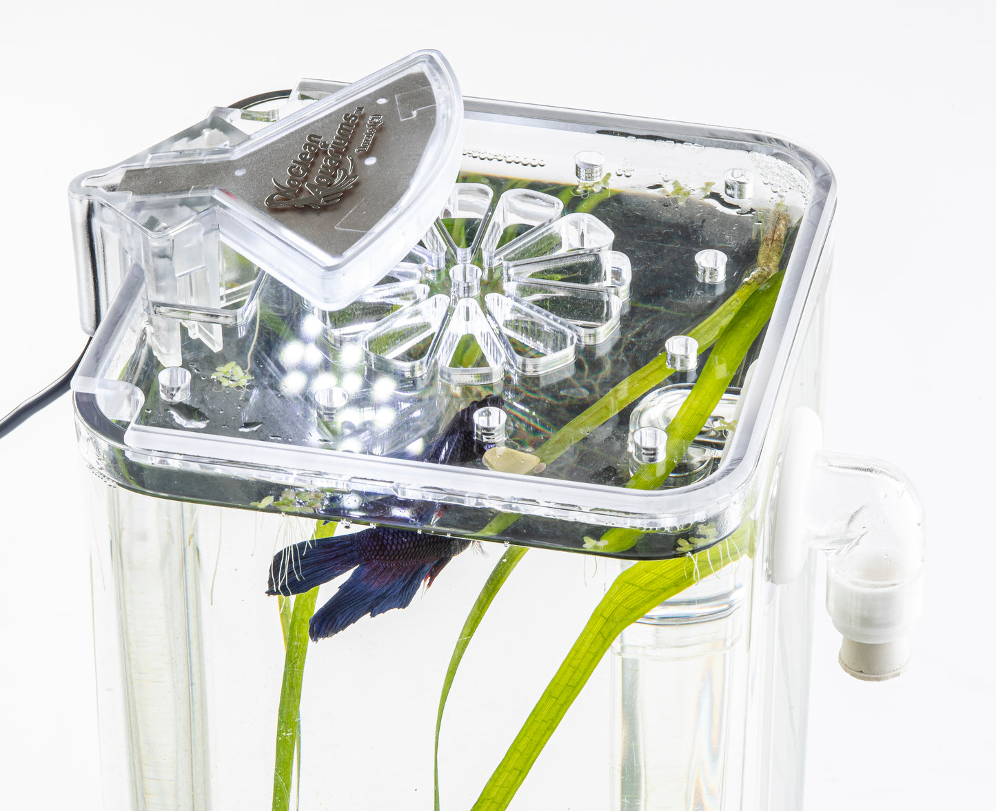 "Lotus" LID for 1 Gallon Self-Cleaning Aquarium