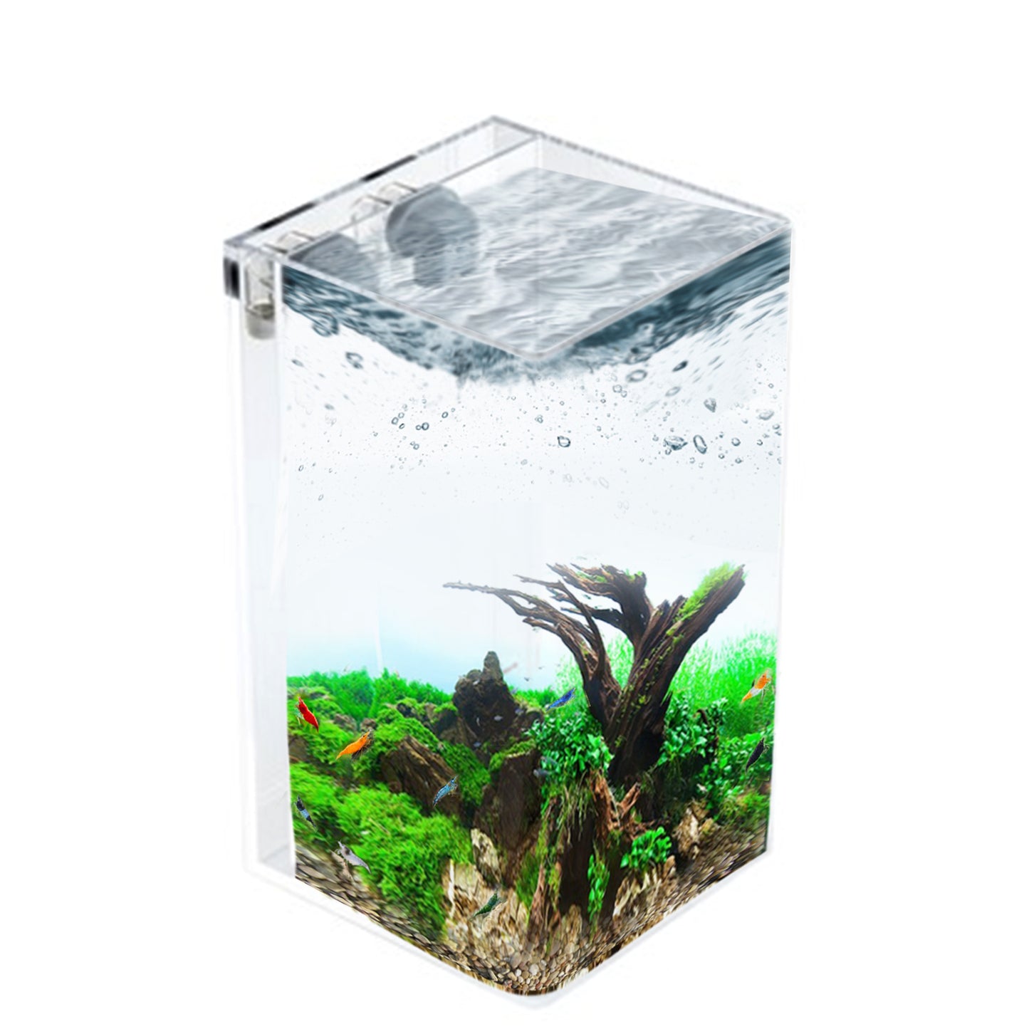 2.5 Gallon Tall Self-Cleaning Aquarium Kit | Lid | Waterfall Basin | Dazzle LED