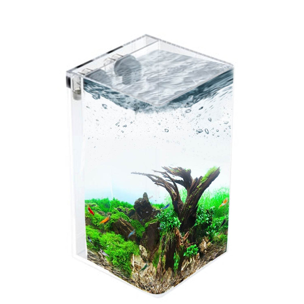 Buy Self-Cleaning Aquariums | NoClean — Since 2009 – NoClean Aquariums